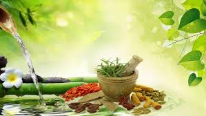 Ayurveda Training Module 1: Concepts