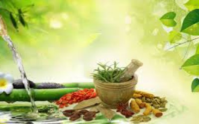 Ayurveda Training Module 1: Concepts