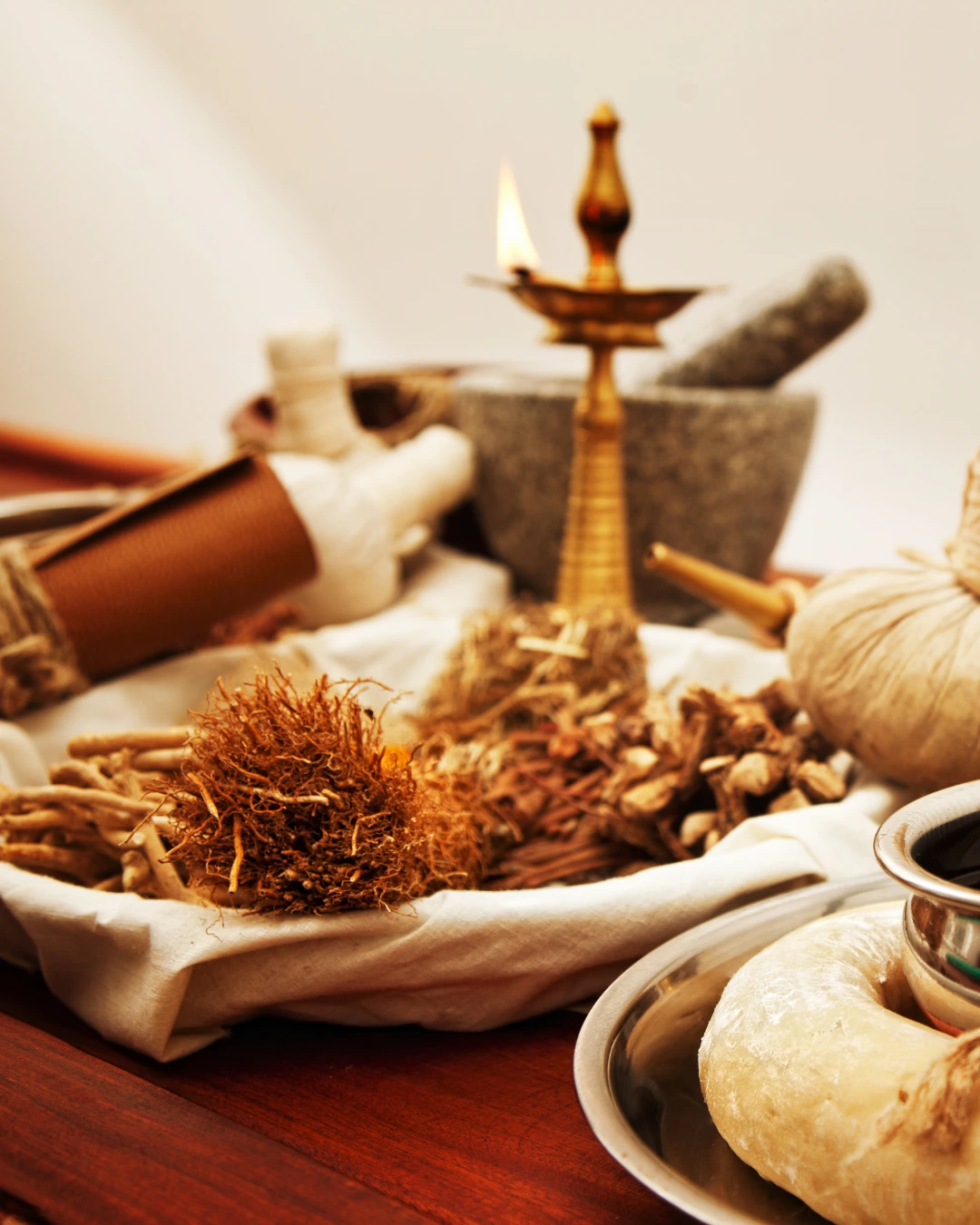 Ayurveda Training Module 1: Concepts