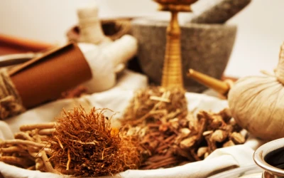 Ayurveda Training Module 1: Concepts